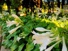 -北京宽沟会议中心