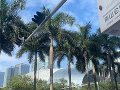 -深圳湾万象城(南山店)