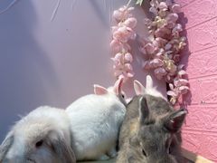 -三旗百汇商品城