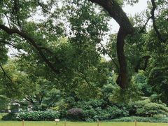 -西湖外事游船(花港观鱼码头)