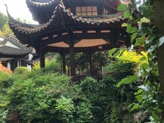 -杭州黄龙洞