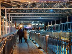 -武汉关码头(轮渡站)