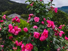 -厦门园林博览苑