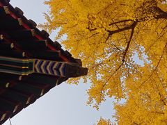 -承恩寺