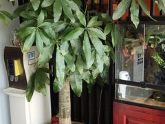 -繁花足道(梅江店)