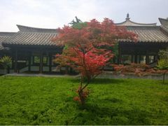 iphone_upload_pic-法门文化景区