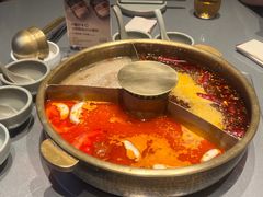 -巴奴毛肚火锅(二七万达店)