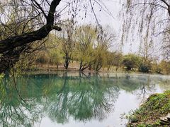 -贵阳市花溪国家城市湿地公园