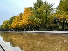 -玲珑塔公园