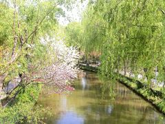 -南汇桃花村