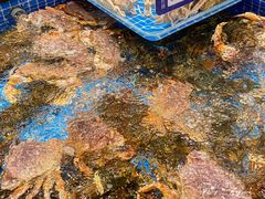 -海月轩海鲜豆捞(紫金塔店)