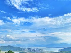 -黄贤森林公园