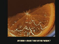 -了不起的考拉咖啡店(高新店)