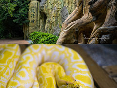 -扬州市茱萸湾风景区