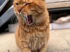 -浙江大学(玉泉校区)