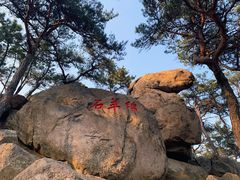 -崂山仰口游览区