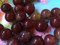 -武汉市洪山区卓刀泉小学