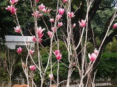 -晓港公园