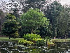 -中国科学院西双版纳热带植物园