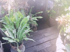 -自然餐厅(Phuket)