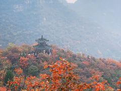 -狼牙山风景区