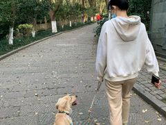 -杭州半山国家森林公园