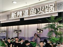 -新辣道鱼火锅(西直门店)