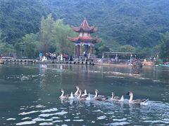 -靖西鹅泉风景区