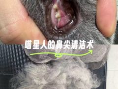 -悠尼宠物·独立低压伊珊娜洗护·美容·寄养(兰谷路店)