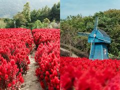 -广州市流溪河国家森林公园