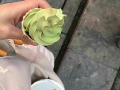 -蜜雪冰城(托乐嘉店)