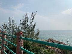 -广东惠东海龟国家级自然保护区