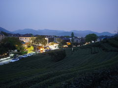 -龙坞茶村