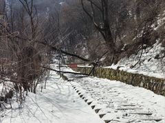 -西安祥峪森林公园