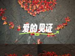 -南宁南湖公园