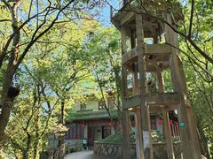 -溪口-滕头旅游景区