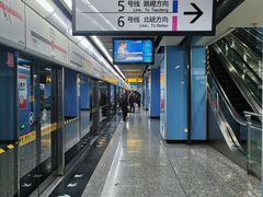 -大龙山(地铁站)