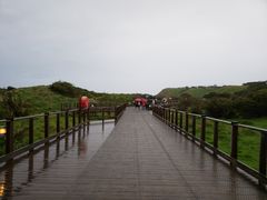 -企鹅岛