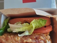 -麦当劳(金州新玛特购物广场店)