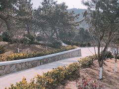 -浮山香苑