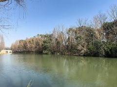 -昆山城市生态森林公园