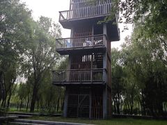-东郊湿地公园