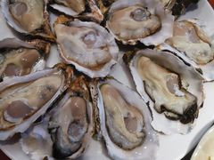 深海黄金蚝-千岛蚝高压锅生蚝·人参火锅(白云万达店)