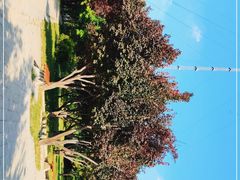 -元大都城垣遗址公园