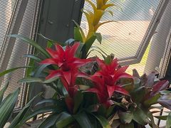 -北京植物园-展览温室