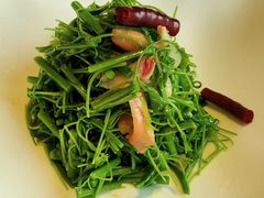 豆苗-璞徽·徽商家宴(长泰广场店)