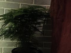 -足本纪·足道 SPA 简餐 小吃(文三西路店)