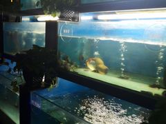 -王家渡火锅店(棕榈泉店)