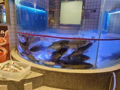 -湘阁里辣(大朗广场店)