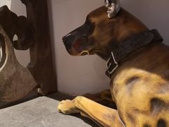 -漪龙台·B26 Rooftop Lounge